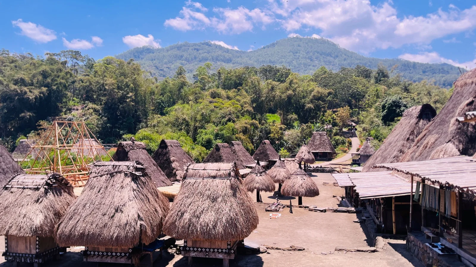 Komodo Expedition